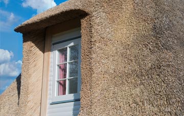 Great Common thatch roof disadvantages