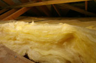 Great Common pitch roof insulation
