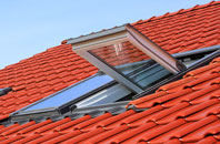 Great Common roof window